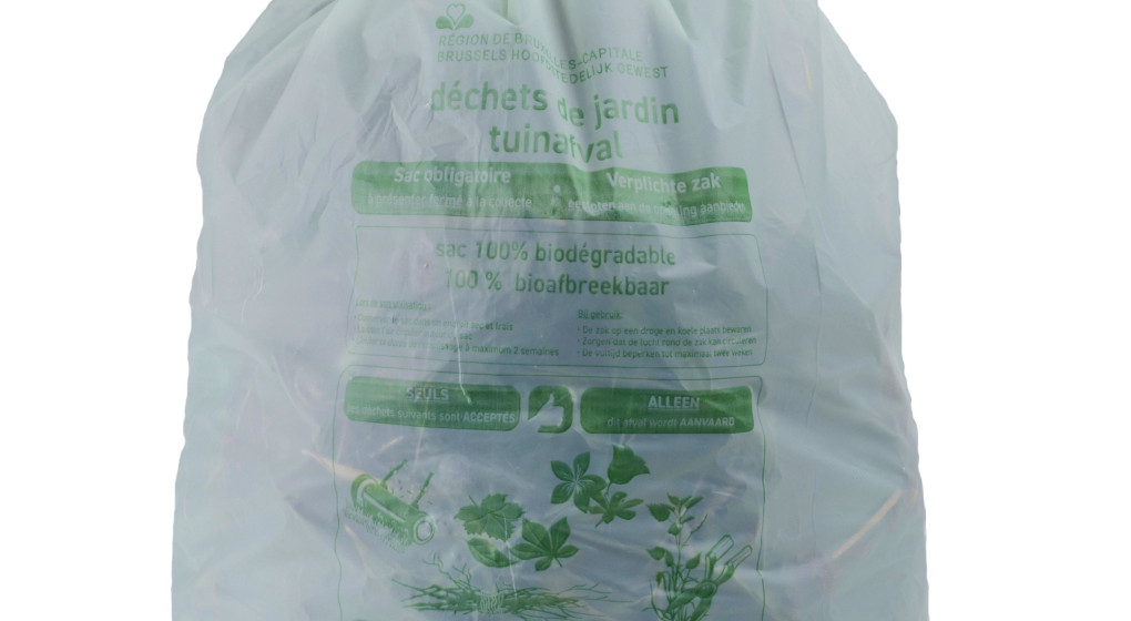 Green bag