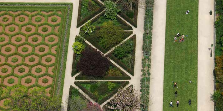 Jardin Botanique (Serge Brison)