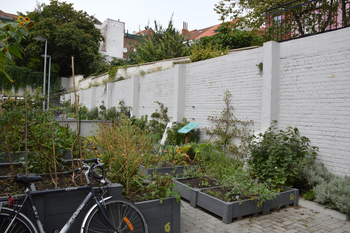 Potager collectif