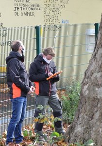 Inventarisatie van bomen in Sint-Joost