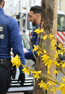 policiers de dos