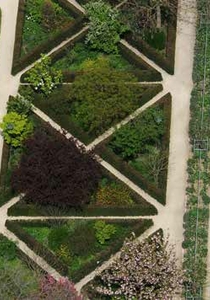 Jardin Botanique (Serge Brison)