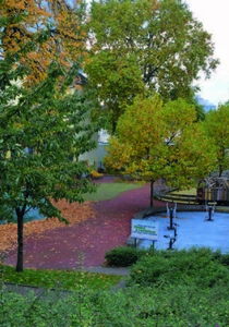 renovatie van het Sint-Franciscuspark