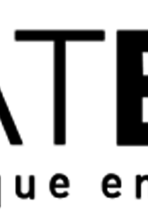 Logo Statbel