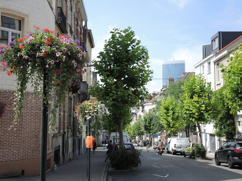 Fleurissement des rues