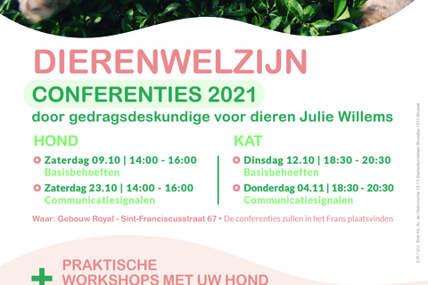 Dierenwelzijn
