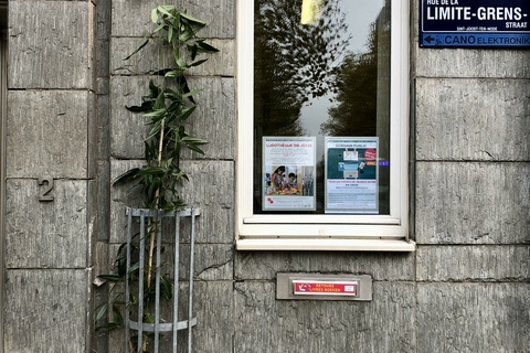 Clématites sur la façade des bibliothèques communales