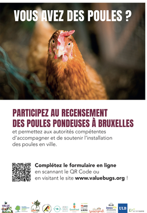 Affiche recensement poules pondeuses
